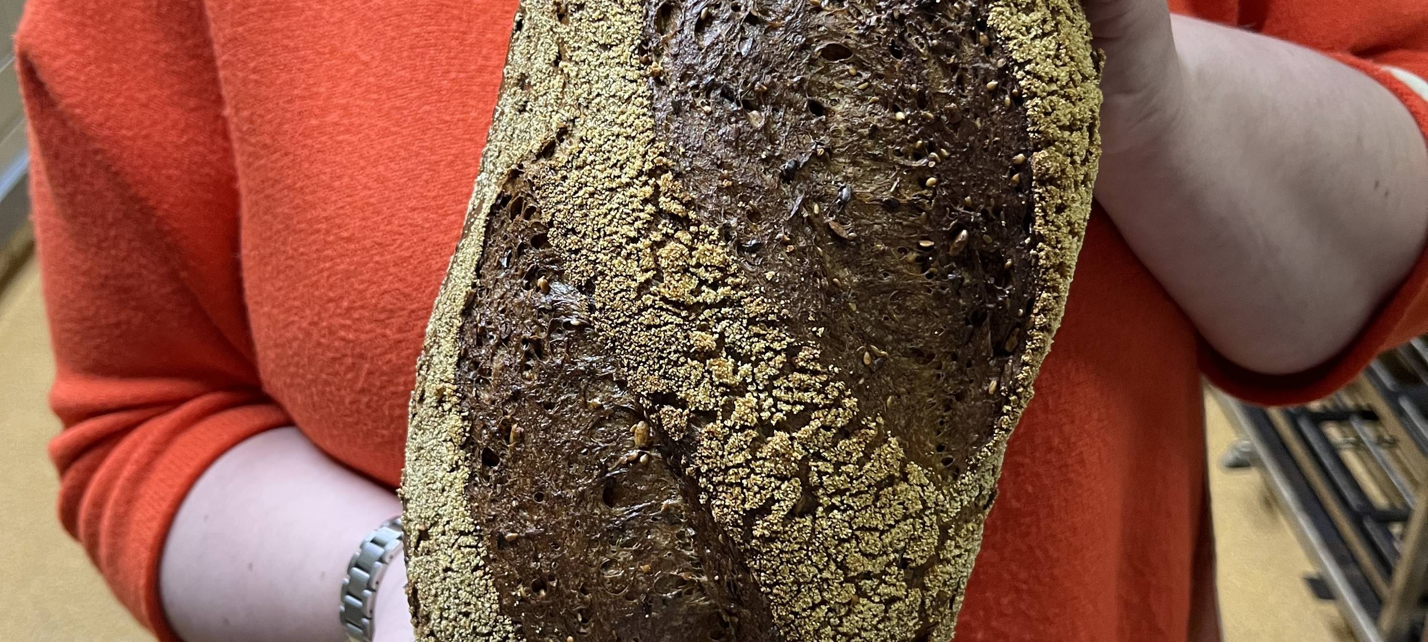 Zum Nachhören: Die ersten Radio Sauerland-Brote