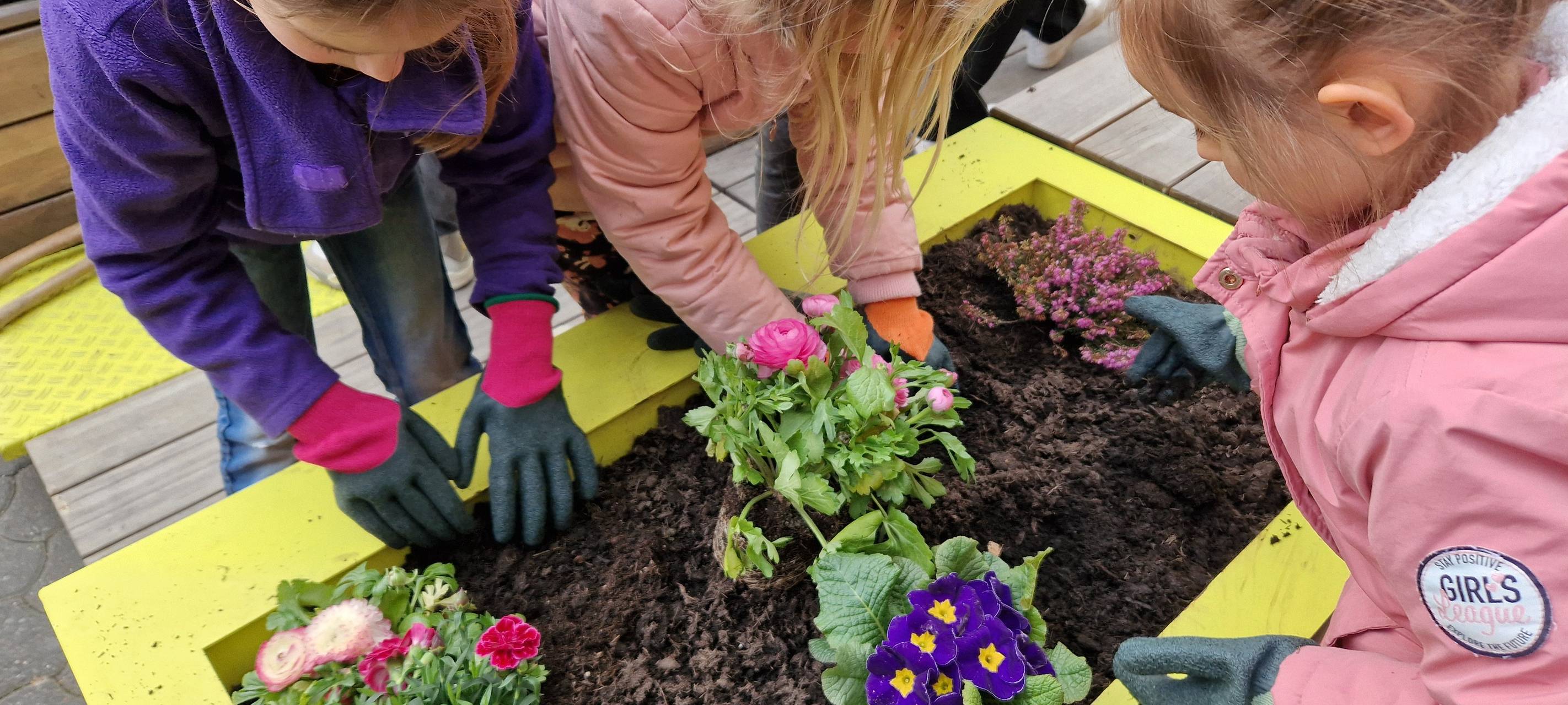 Sundern: Projekt Stadtterrassen