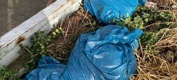 Sundern: illegaler Müll in Langscheid