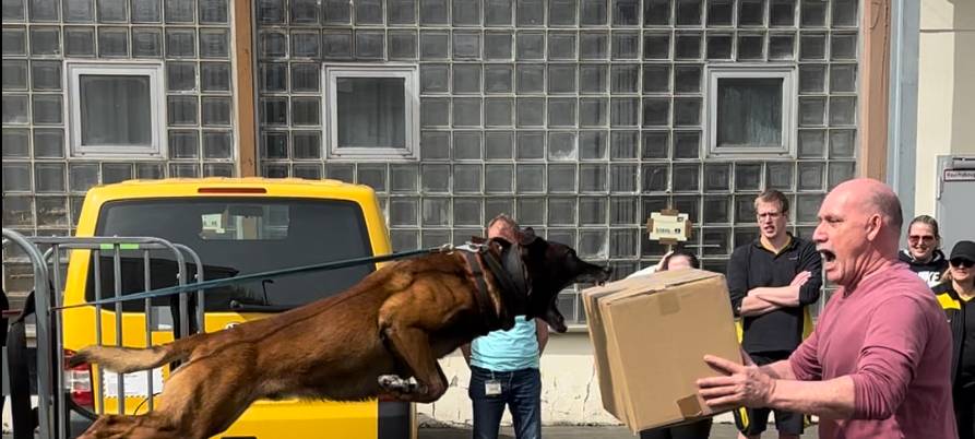 Zum Nachhören: Postzusteller trainieren mit Hund