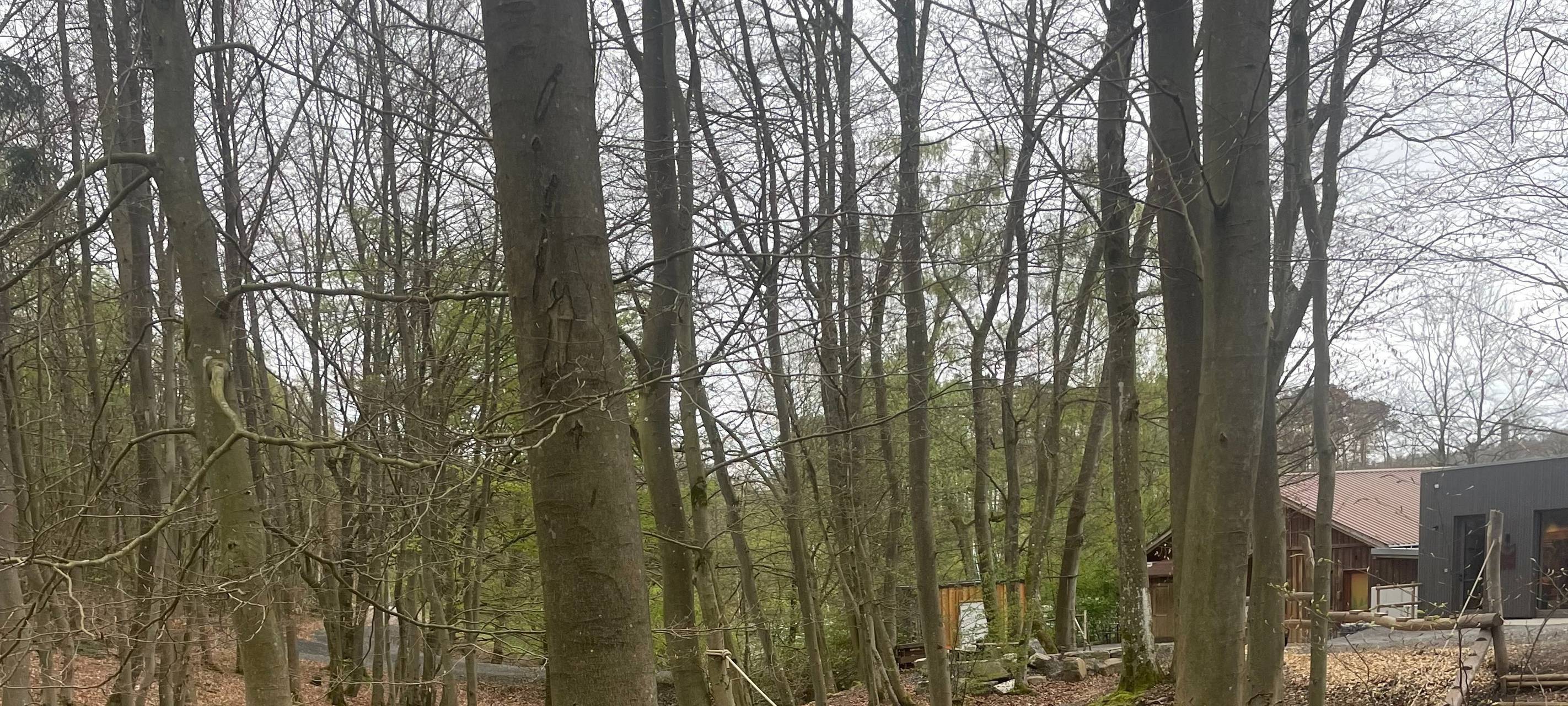 Zum Nachhören: Niedrigseilgarten in Sundern am Sorpesee