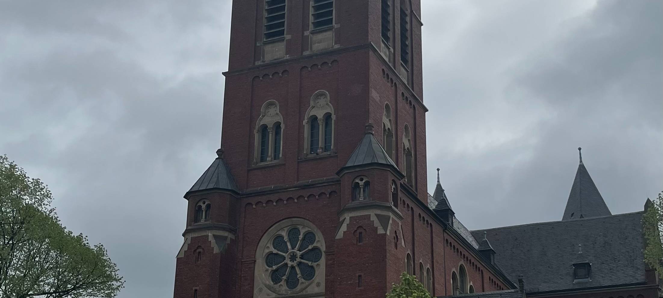 Baumfällarbeiten in der Neheimer City