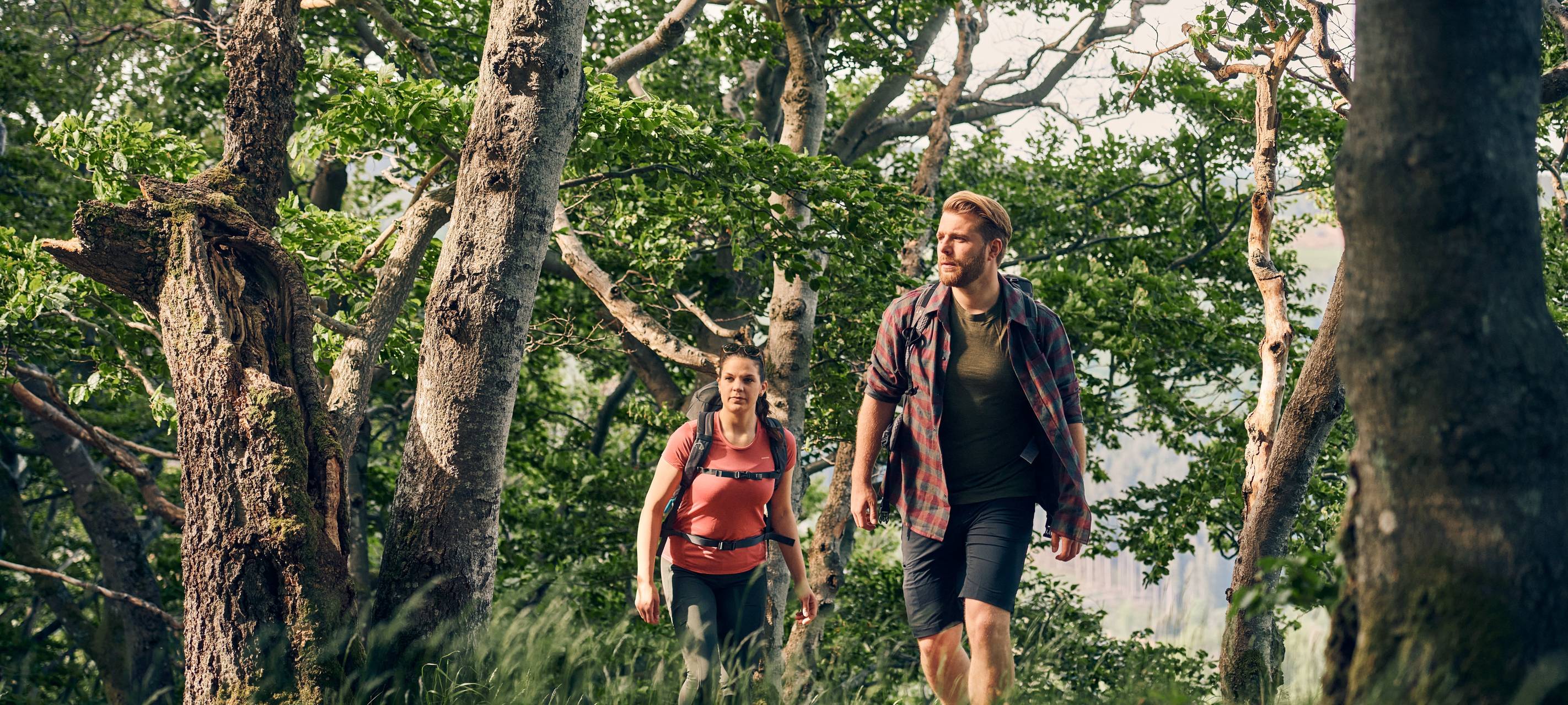 Sauerland: 10 Jahre "Qualitätsregion Wanderbares Deutschland"