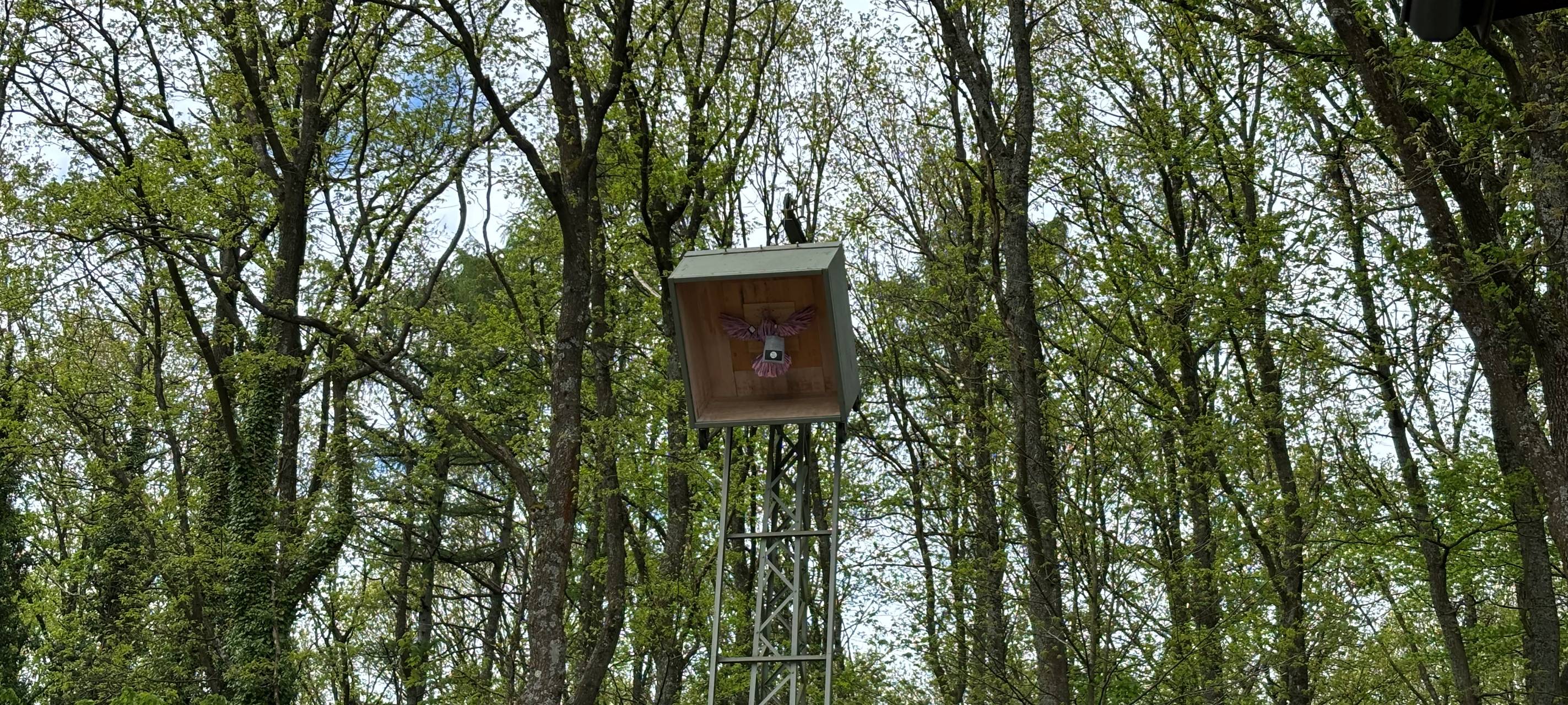 Zum Nachhören: Frauenvogelschießen in Meschede-Nord