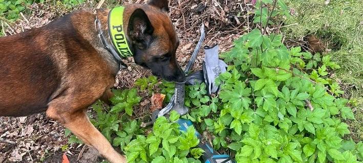 Polizei schnappt Zigarettendieb in Meschede