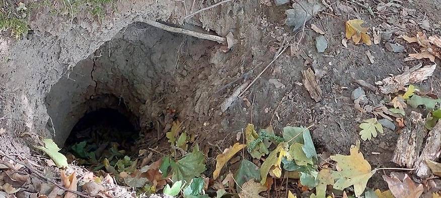 Sanierung der Bahnstrecke Brilon Wald - Warburg