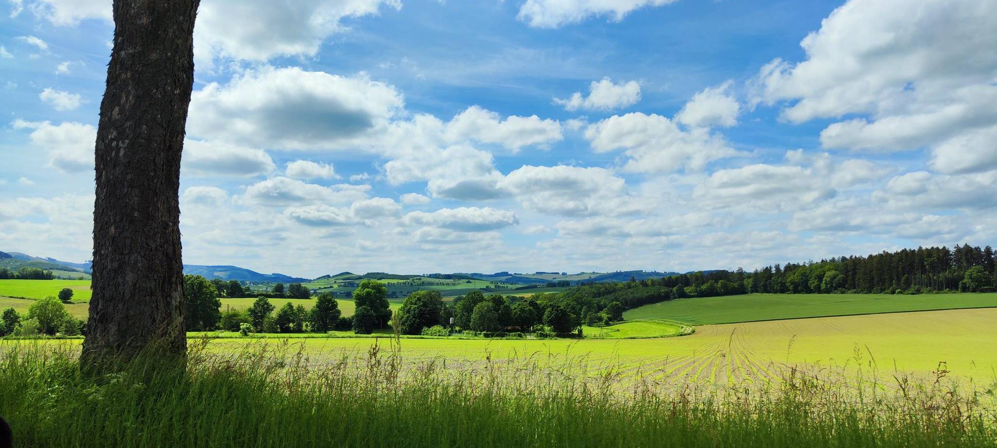 Sauerland: Weideland pachten ist vergleichsweise günstig