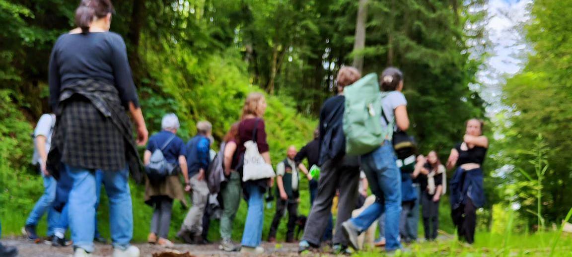 Zum Nachhören: Wir im Wald