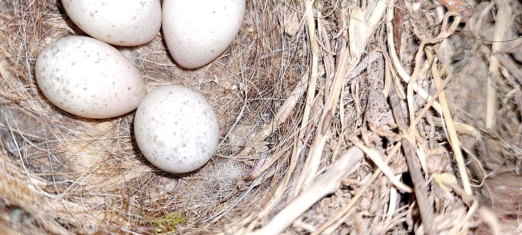 Bau der Brücke in Arnsberg-Oeventrop verzögert sich