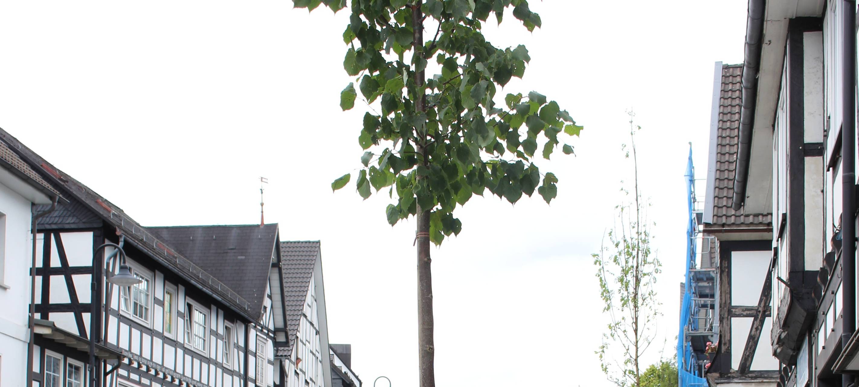 Finanzplanungen Stadt- und Gemeinderäte