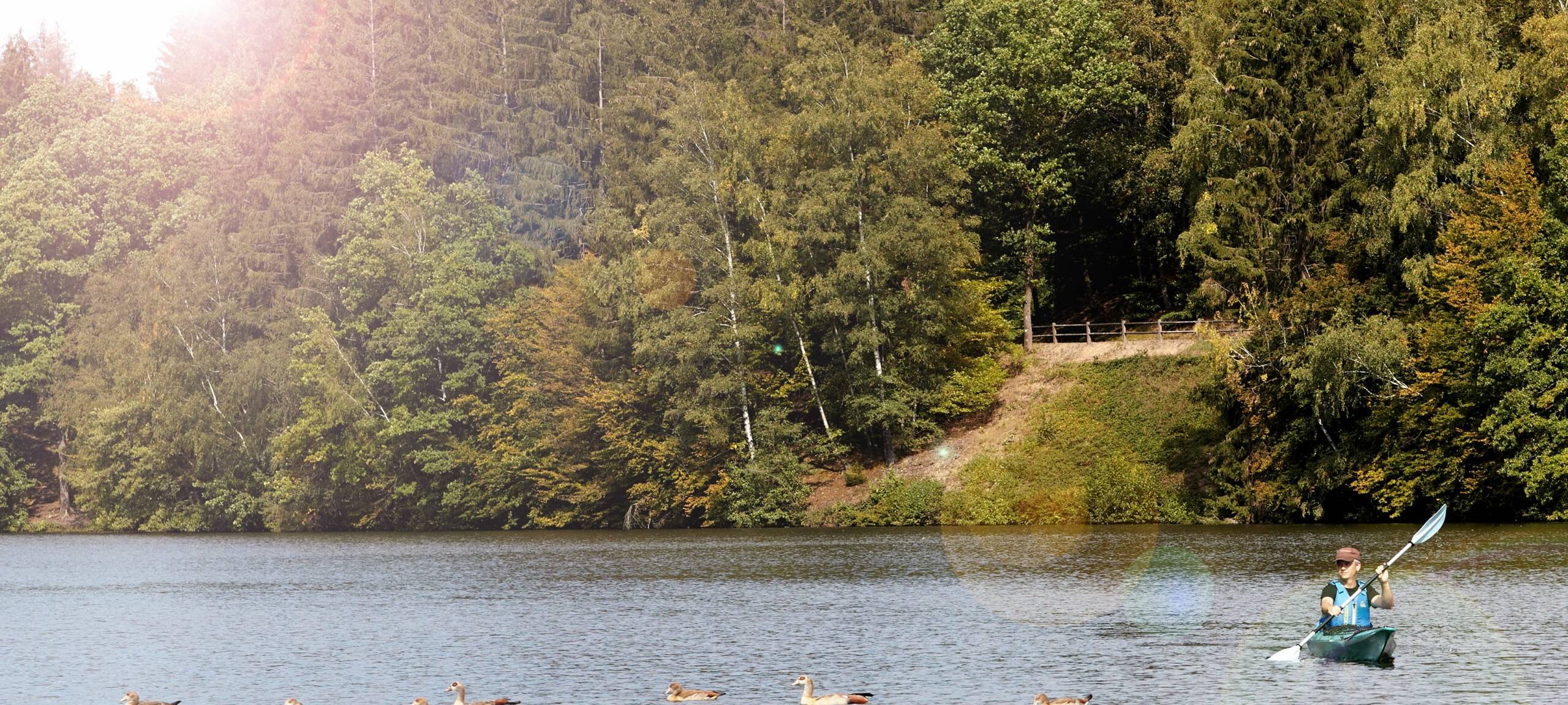 Ideen für die Sauerland Seen