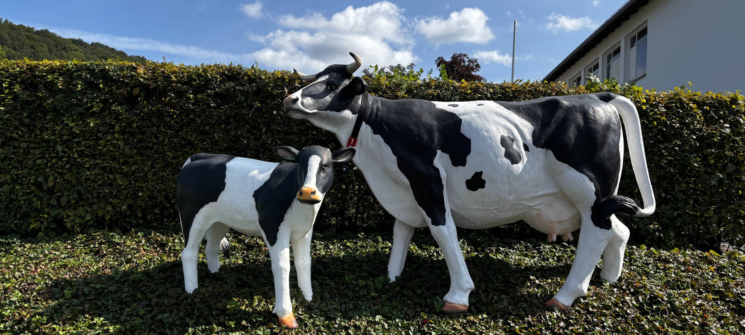 37. Berufswettbewerb der deutschen Landjugend startet