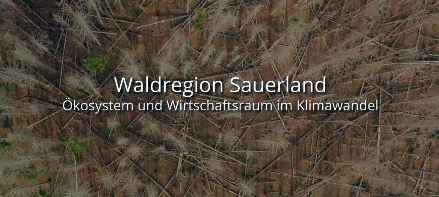 Zukunft der Waldregion Sauerland