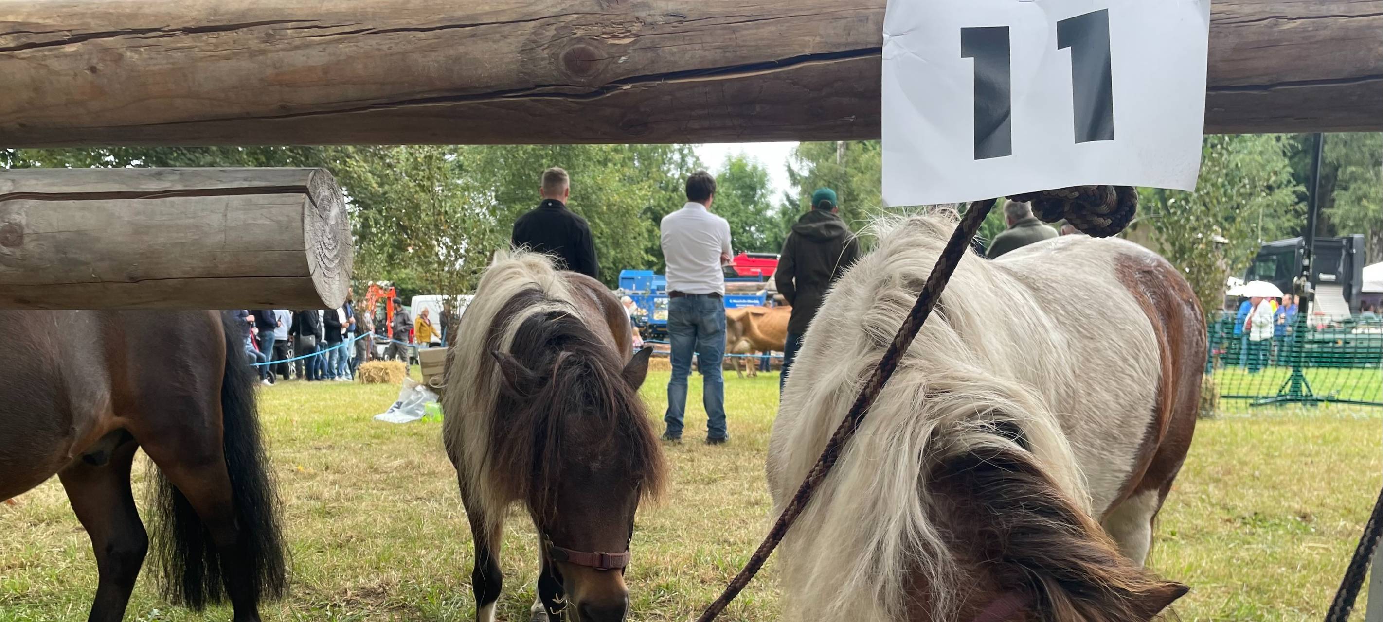 Zum Nachhören: Die Tierschau in Hüsten