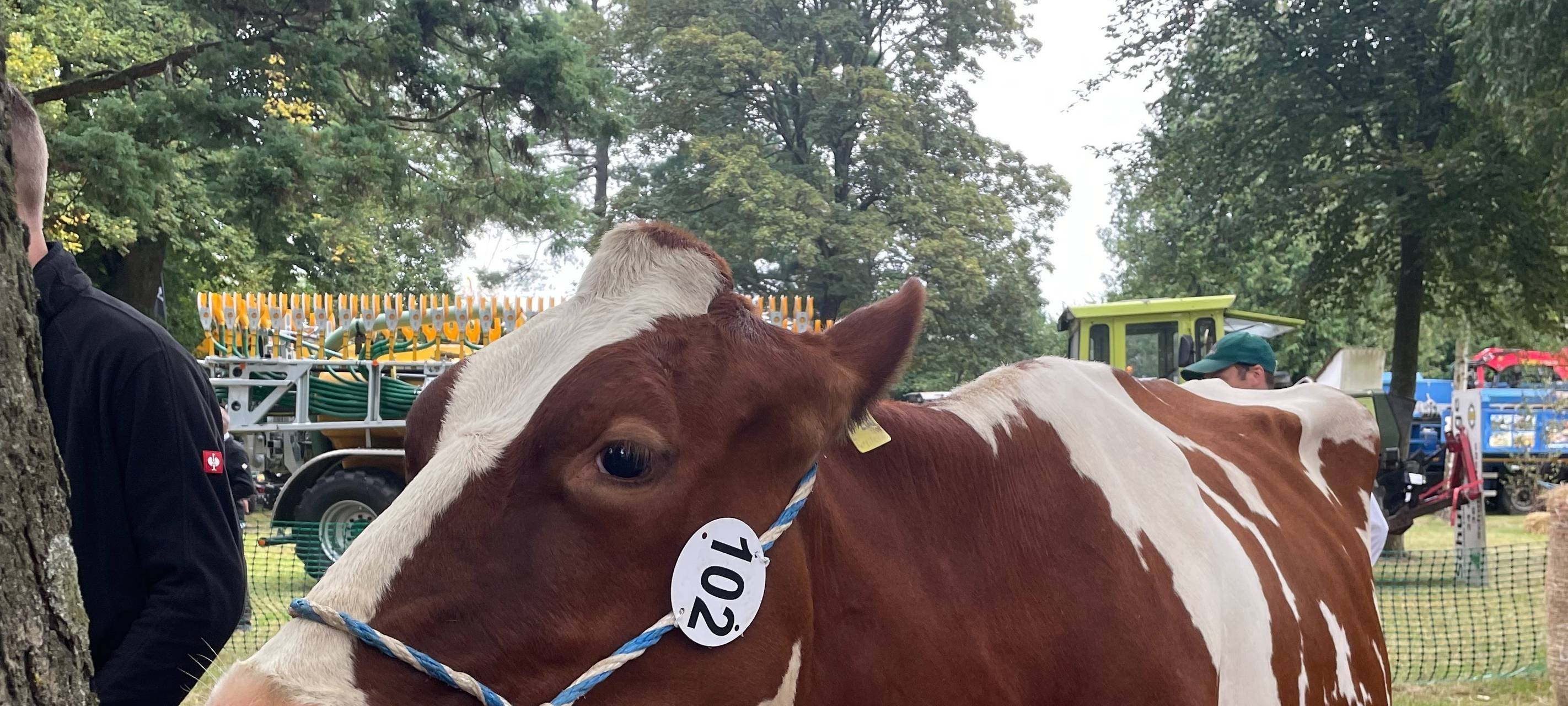 Zum Nachhören: Die Tierschau in Hüsten