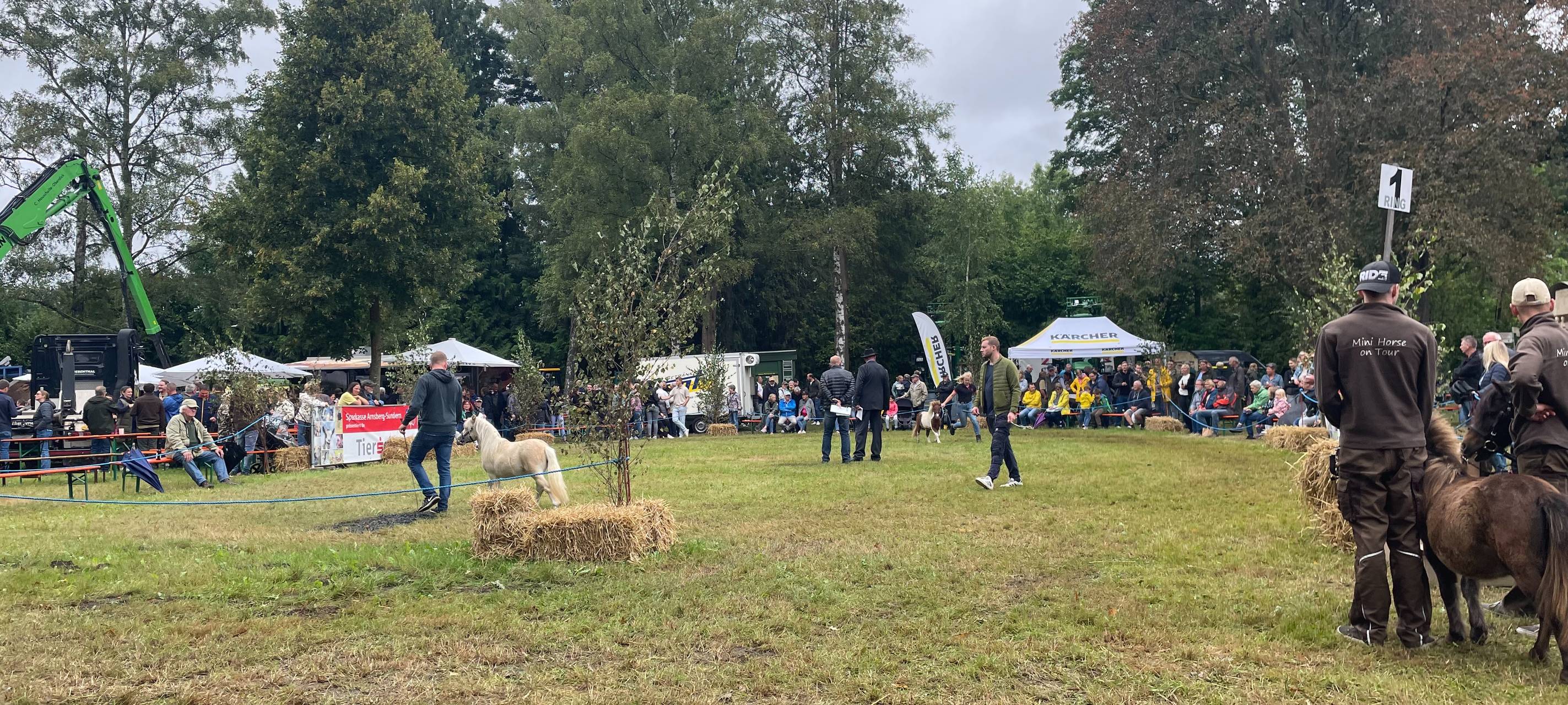 Zum Nachhören: Die Tierschau in Hüsten