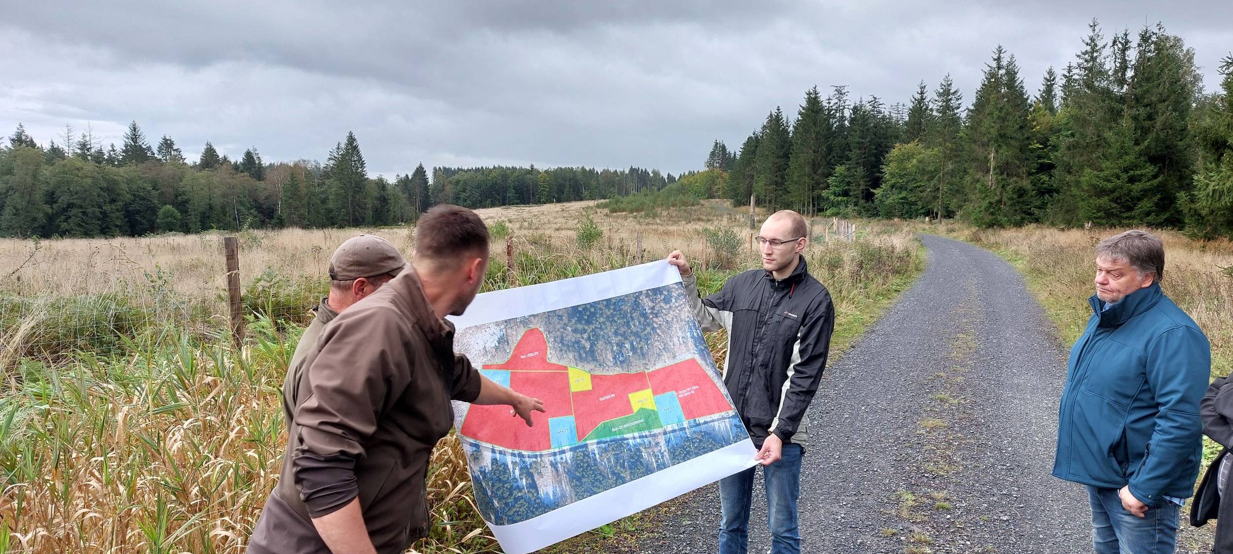 Meschede: Wiederaufforstung geht weiter voran