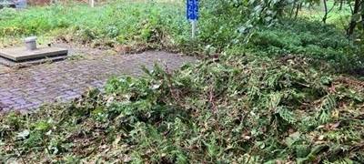 Sauerland: illegale Entsorgung