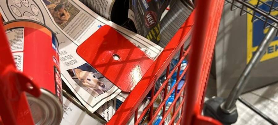 Arnsberg: Geldboxen der Tiertafel gestohlen