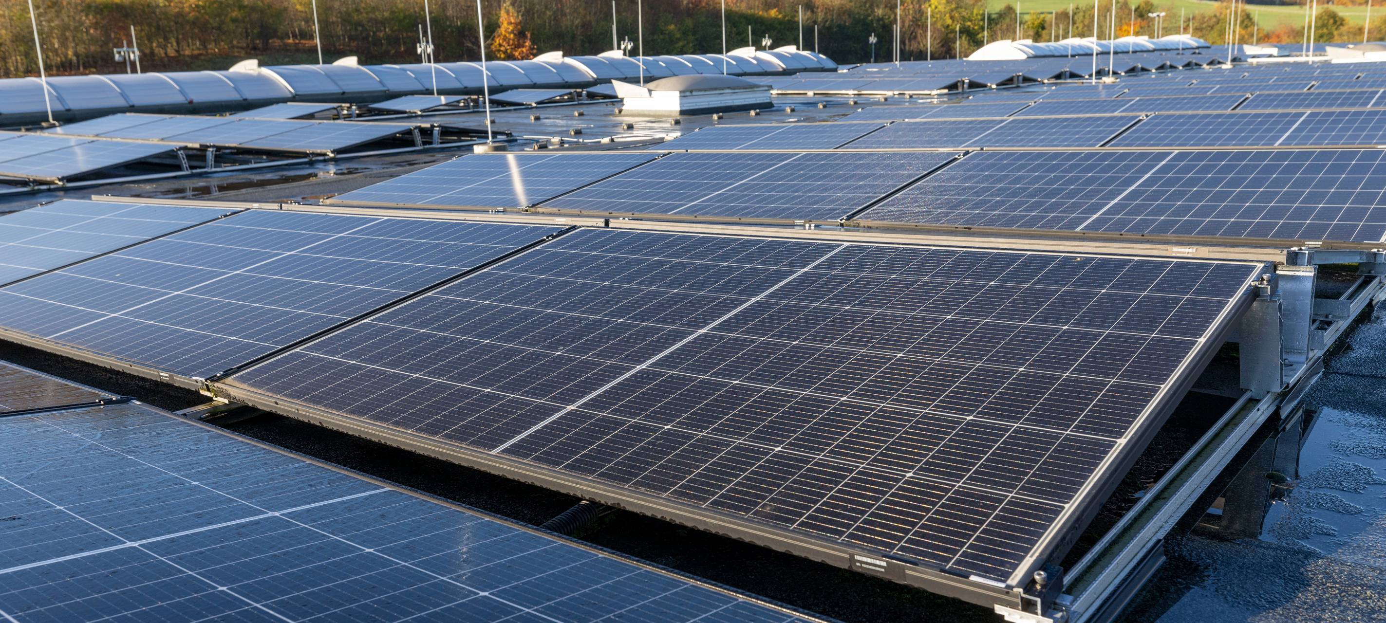 Sauerland: Veltins-Brauerei produziert grünen Strom