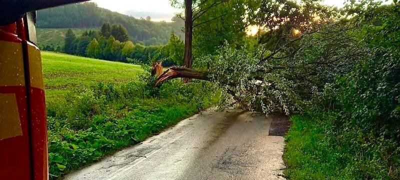 Sauerland: Sturm knickt Bäume um