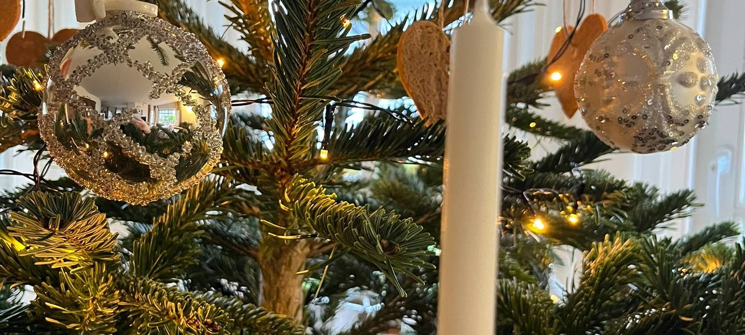 Tag des Weihnachtsbaumes
