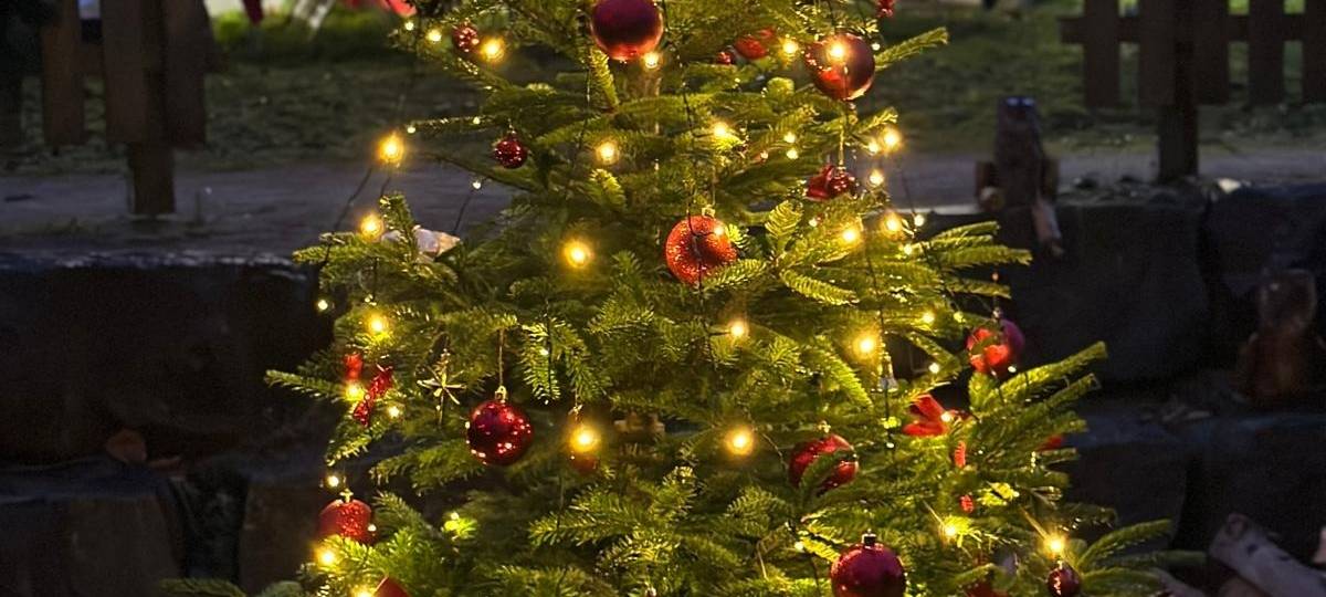Weihnachtsmarkt im Sauerland