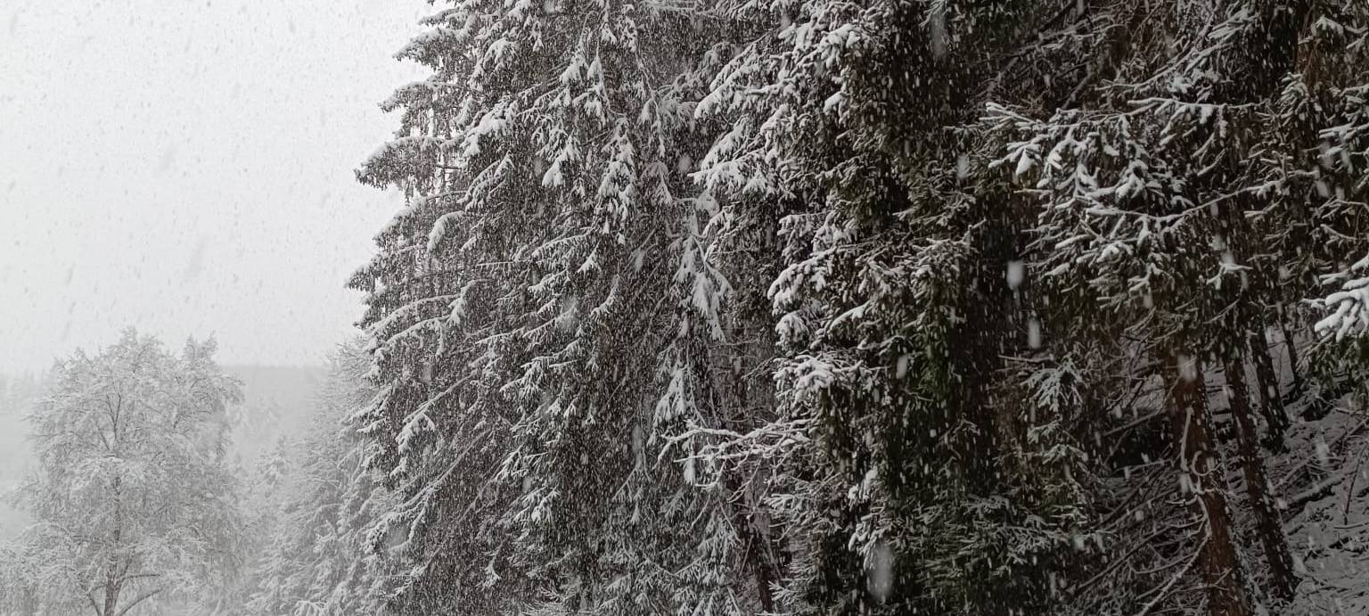 Sauerland: Rund 100 Schneeunfälle