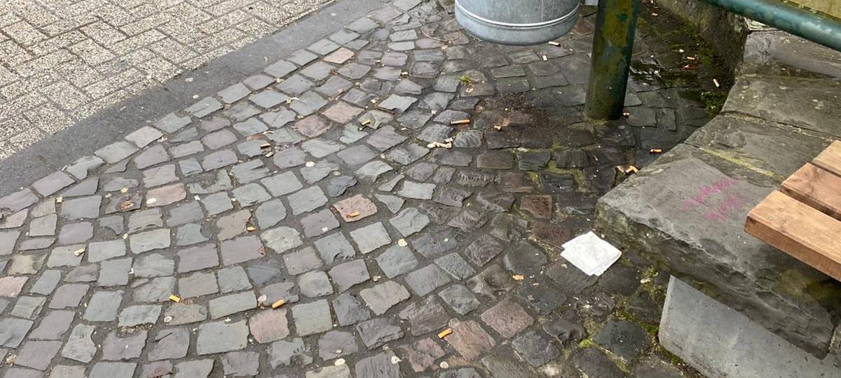 Arnsberg: KI hilft bei Müllabfuhr