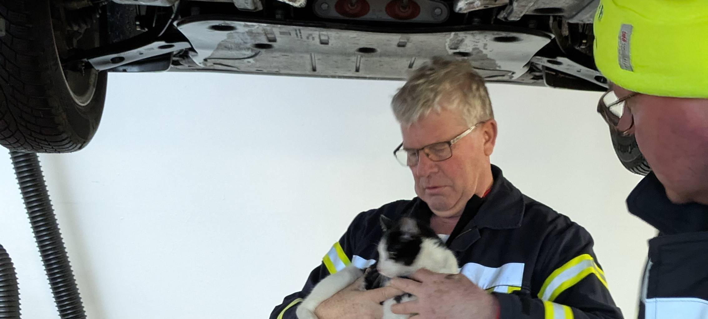 Olsberg: Feuerwehr rettet Kätzchen aus Motorraum