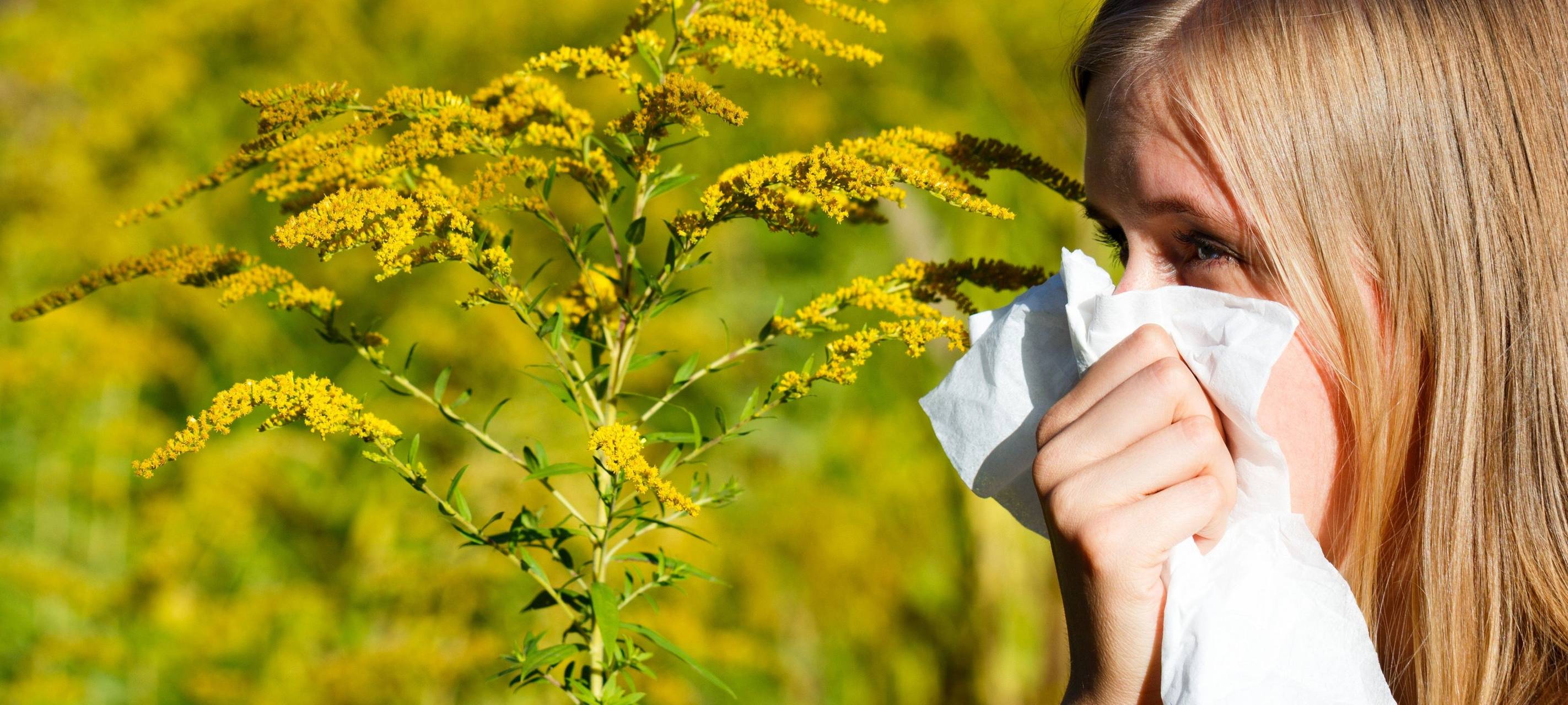Sauerland: Pollenflug hat begonnen