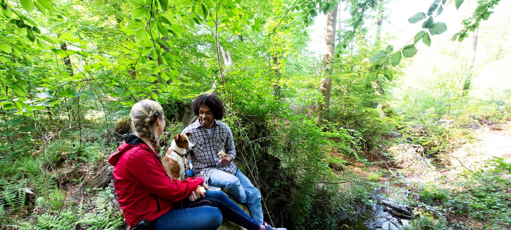 Zum Nachhören: Ferientipps der Ranger
