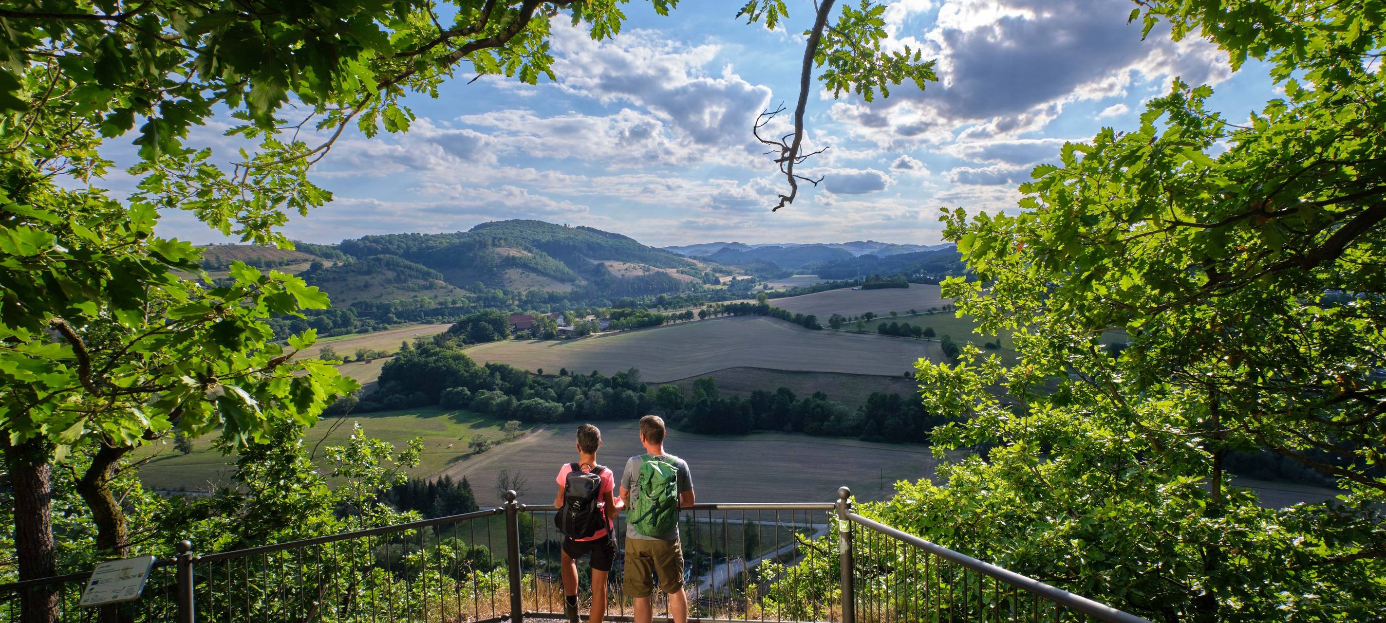 Sauerland-Waldroute: Wahl schönster Wanderweg