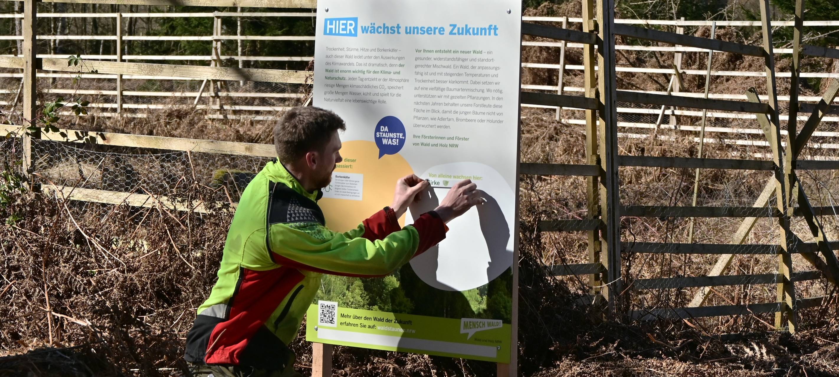 Arnsberg: Wald steht 2 Tage im Fokus