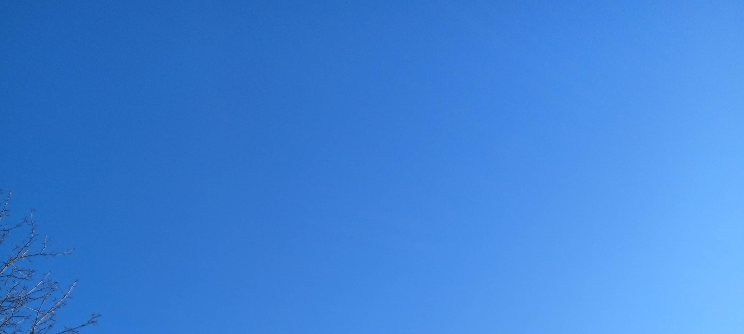 Viel Sonne und milde Temperaturen im März