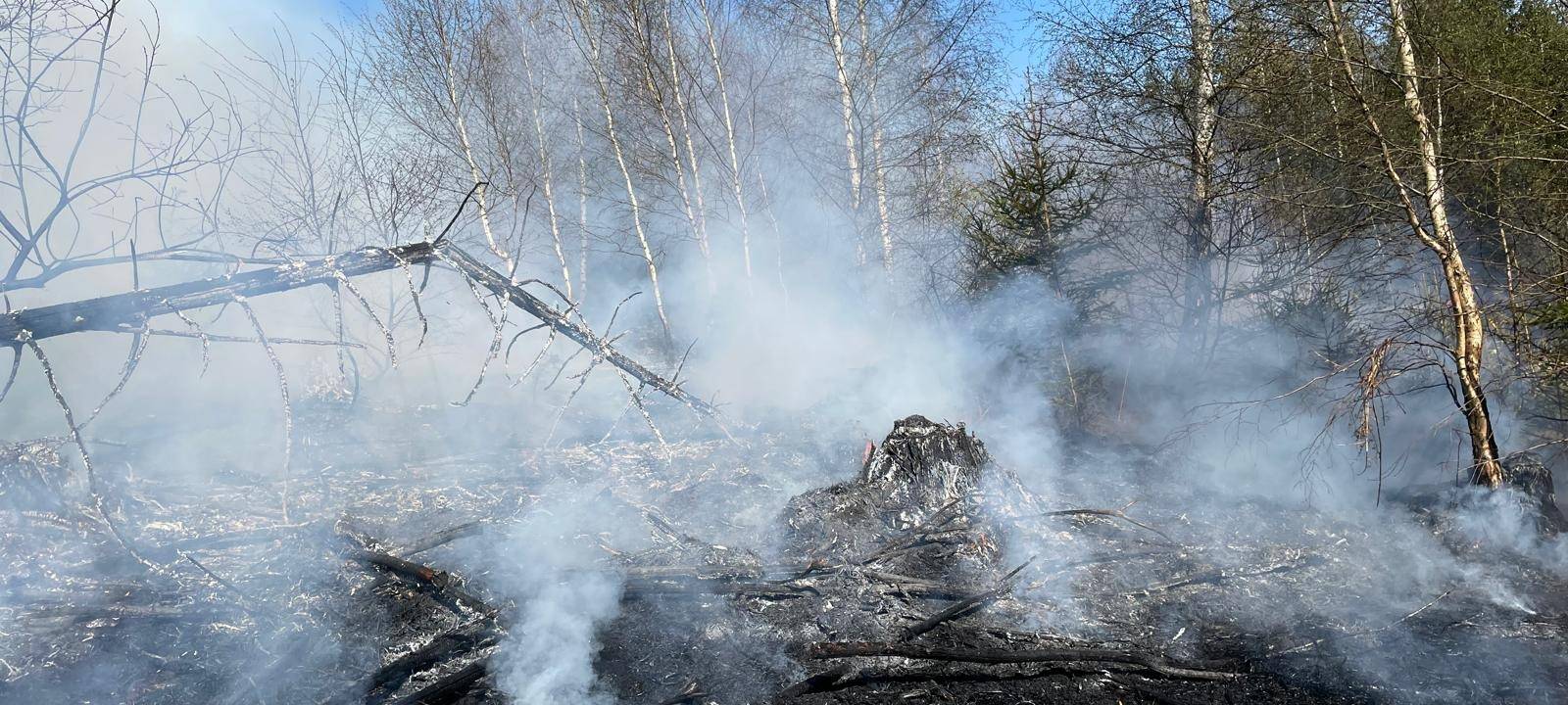 Waldbrand in Sundern