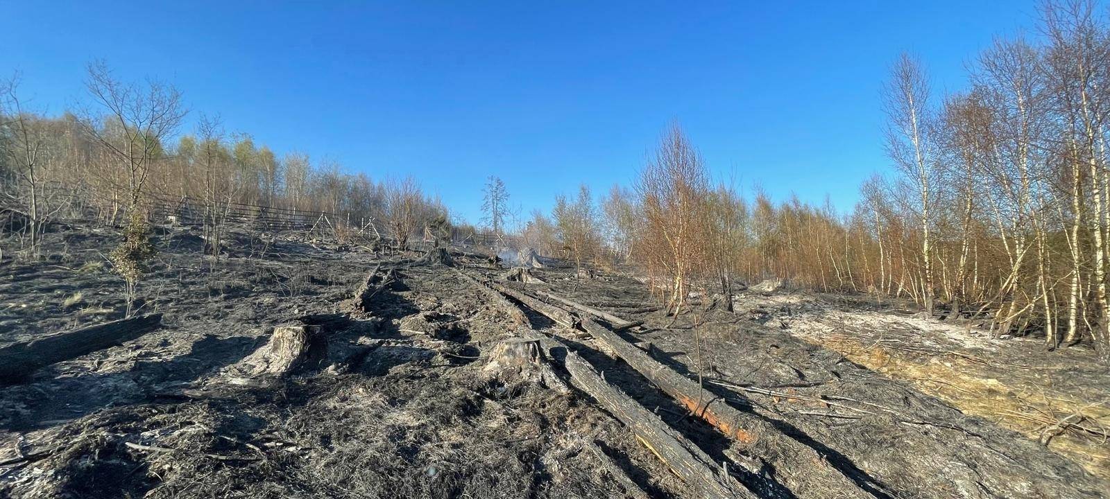 Waldbrand in Sundern