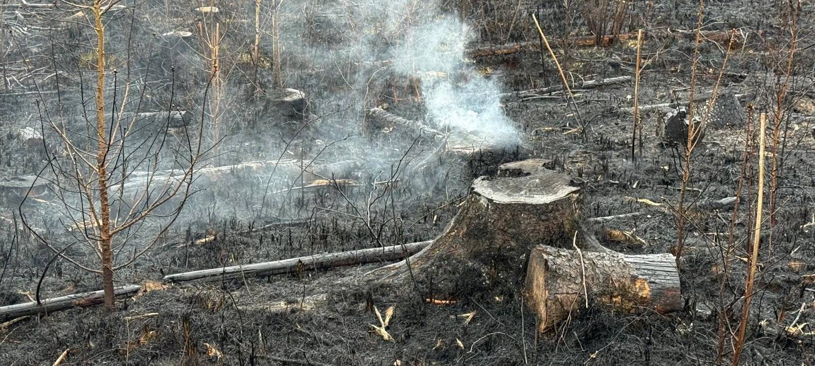 Waldbrand in Sundern