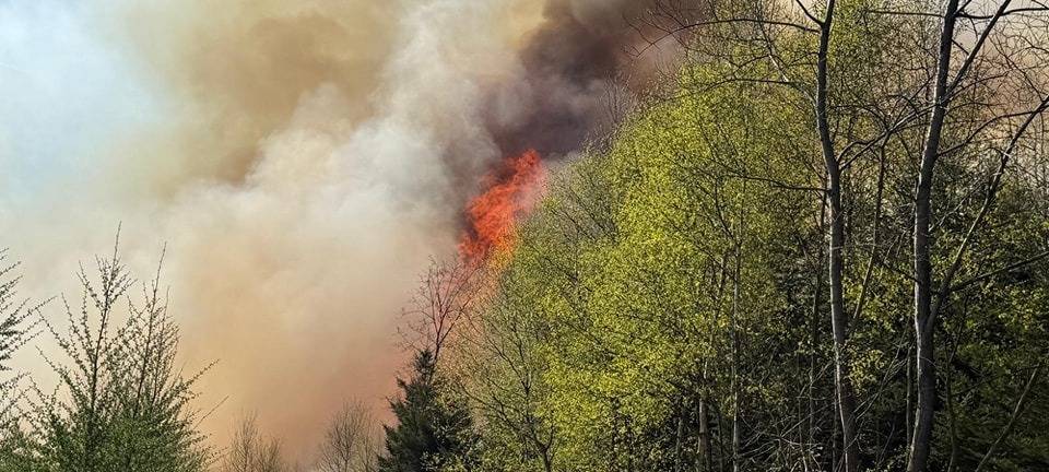 Waldbrand in Sundern