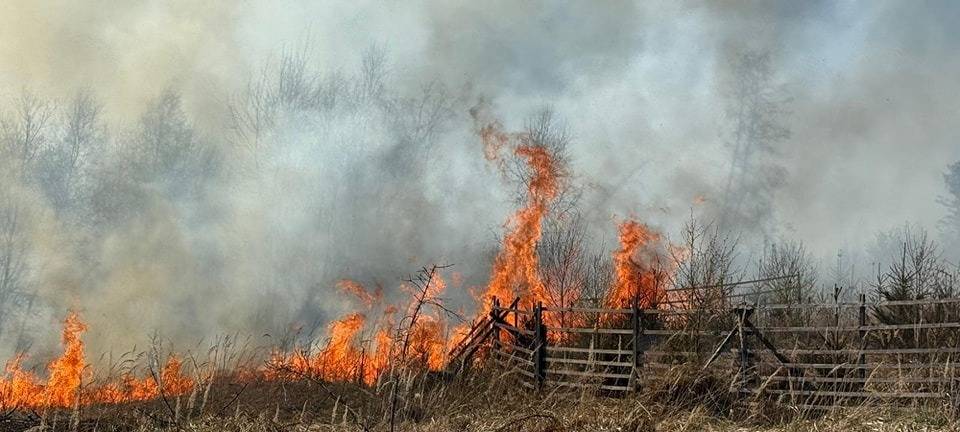 Waldbrand in Sundern