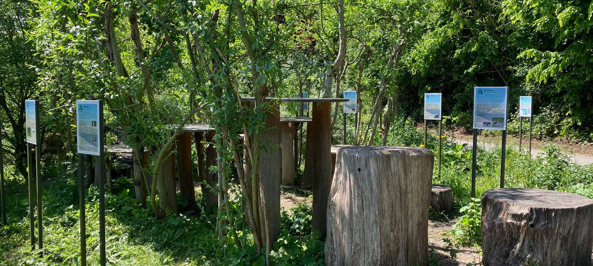 Natur-Erlebnis-Raum Arnsberg