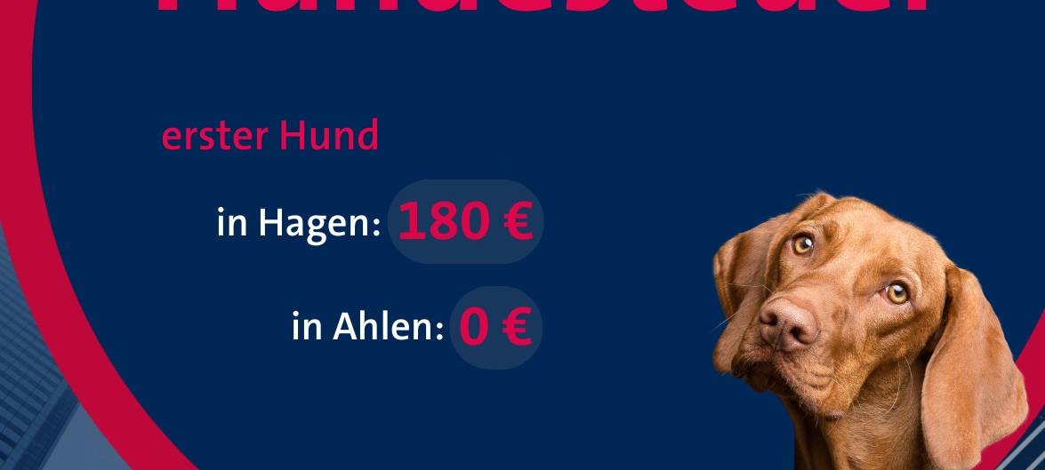Hundesteuervergleich im Sauerland