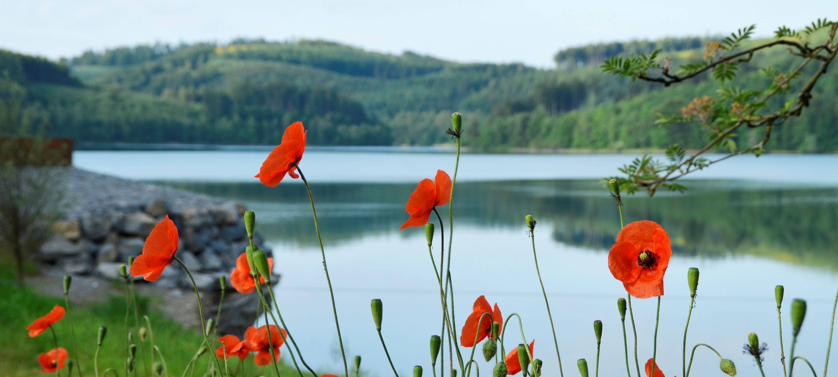 Sauerland: Tipps fürs Baden im Hennesee
