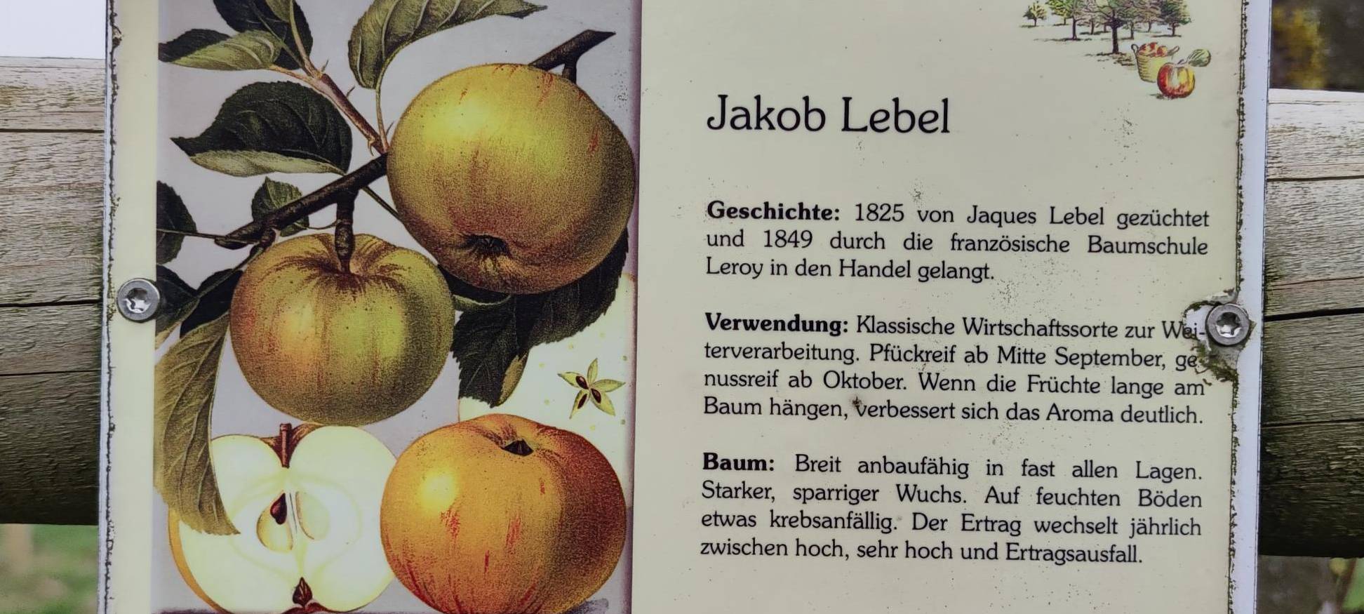 Schmallenberg: Förderung für „Essbare LenneSchiene“