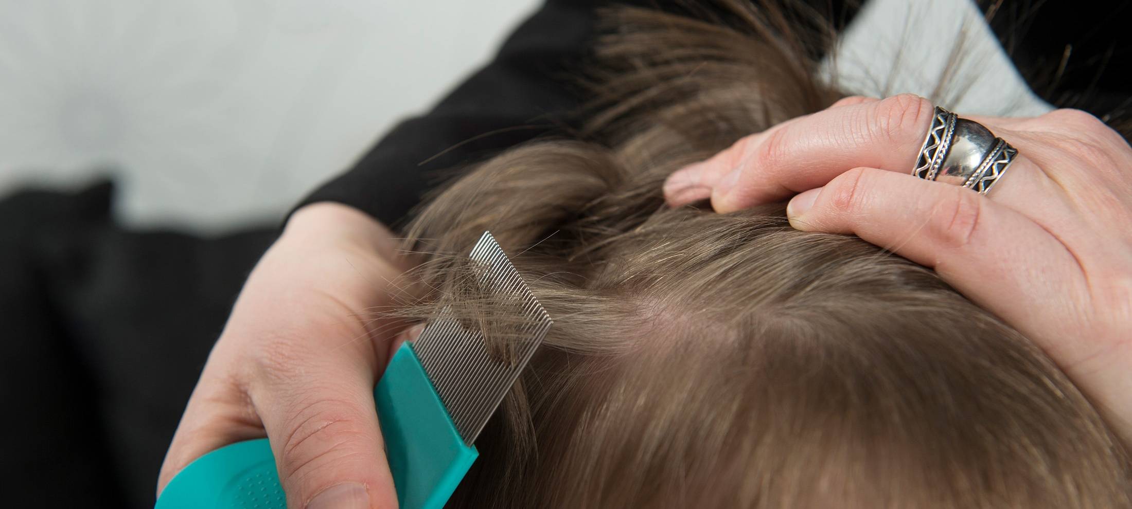 Sauerland: Kopfläuse auf dem Vormarsch