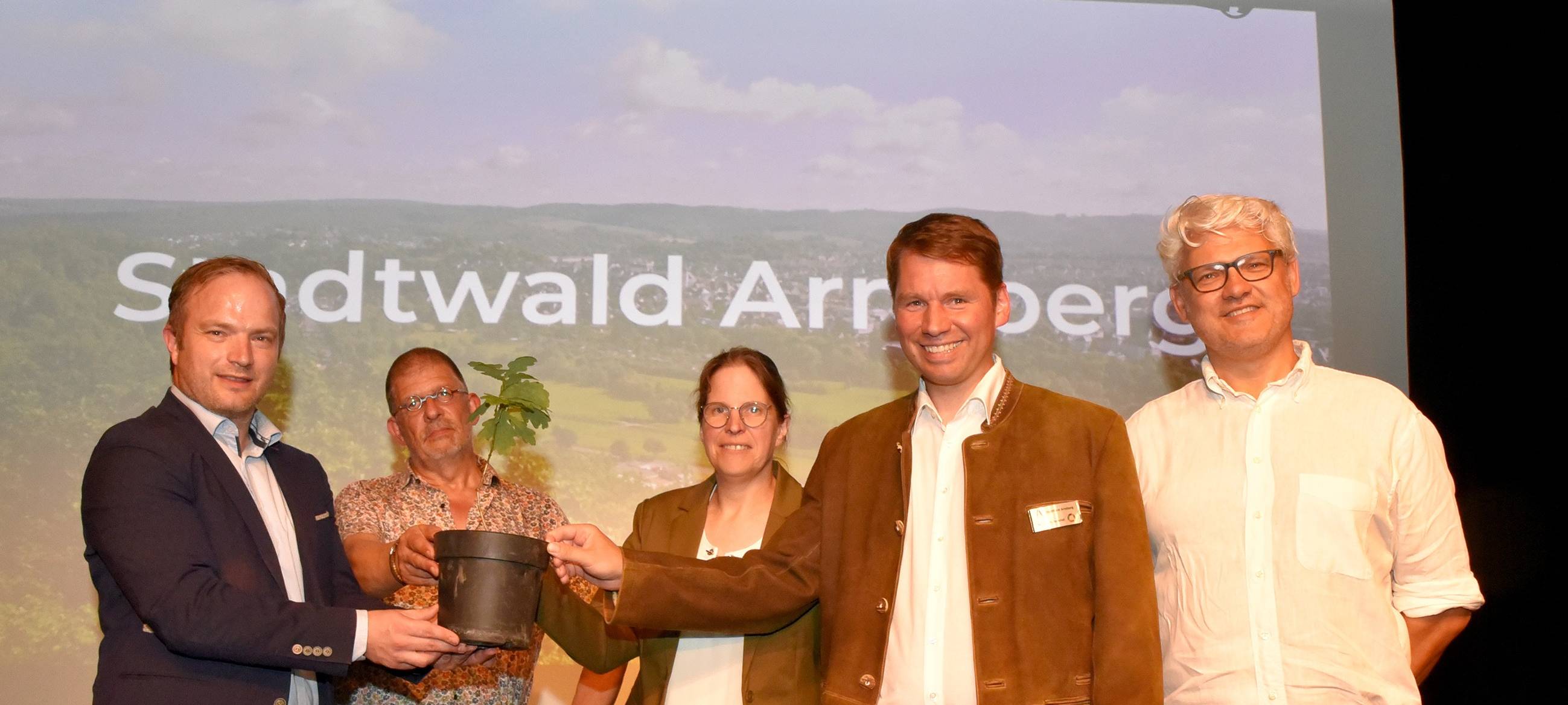 Arnsberger Stadtwald wächst wieder