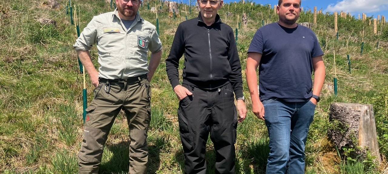 Bestwig: Elektro Hegener spendet 300 Bäume