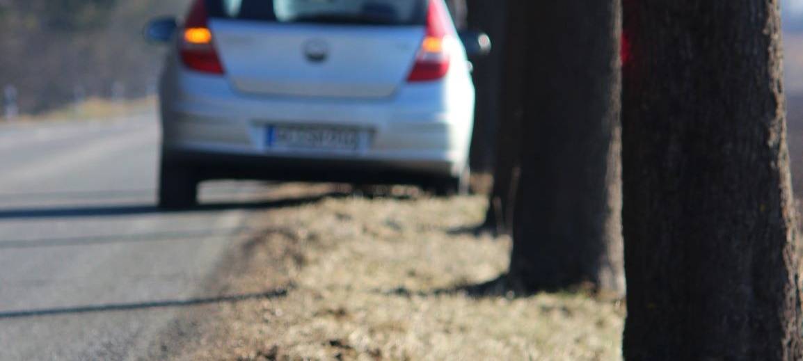 Sauerland: Wildunfälle häufen sich aktuell