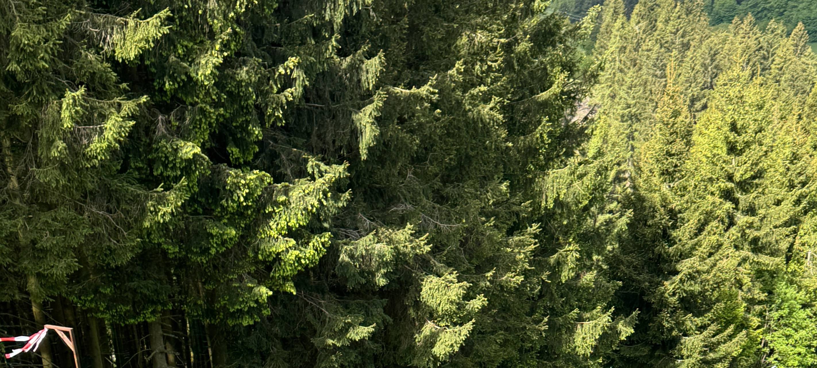 Winterberg: Schanze wird zur Rutsche