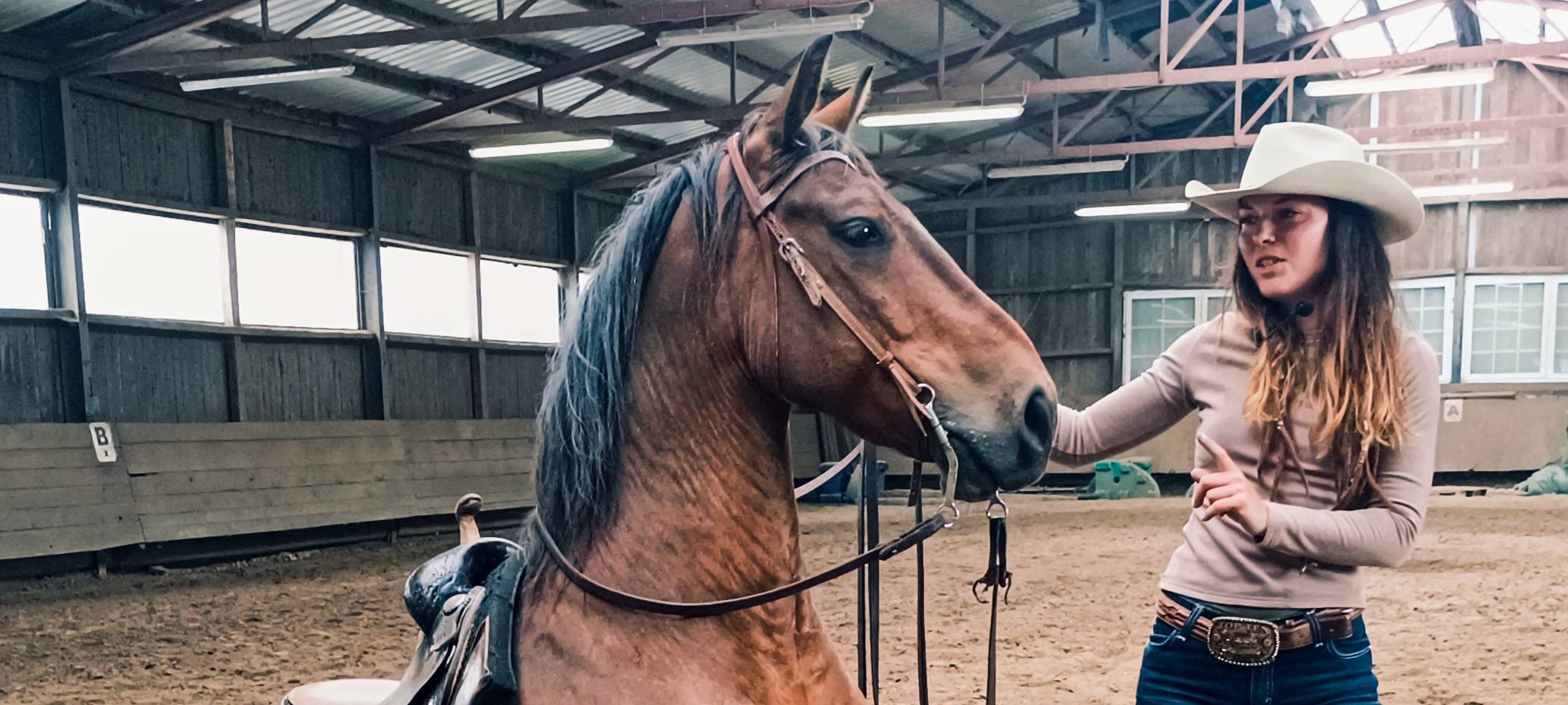 Miriam hat gelernt, die Körpersprache der Pferde zu lesen.